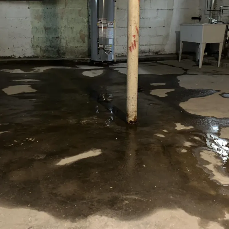 Emergency Water Extraction And Removal in Galena, IN